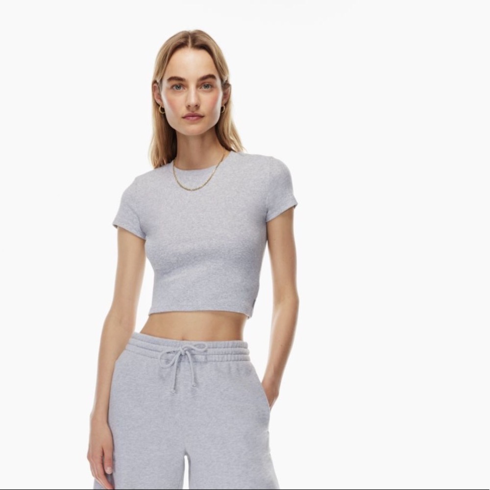 Aritzia TNA ribbed t shirt in grey